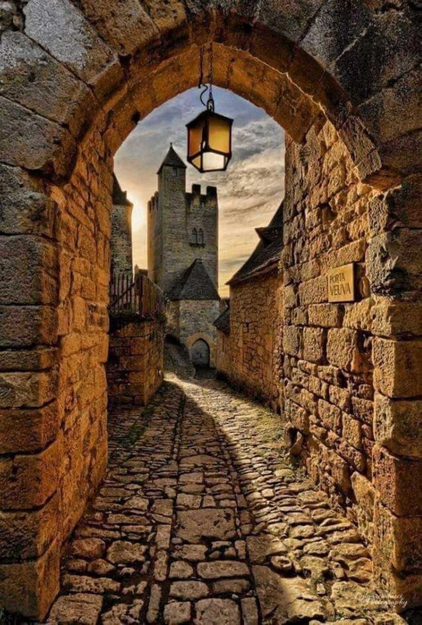 Maison En Perigord Proche Beynac Et Sarlat Cenac-et-Saint-Julien Экстерьер фото