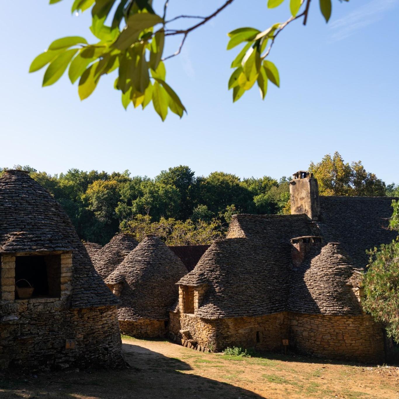 Maison En Perigord Proche Beynac Et Sarlat Cenac-et-Saint-Julien Экстерьер фото